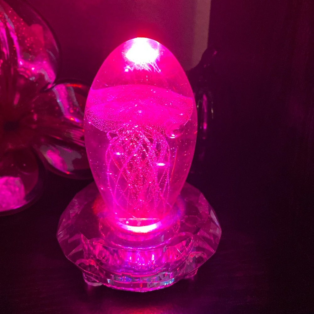 Illuminating jellyfish fish into a blown glass  ac/dc cord and glass bass